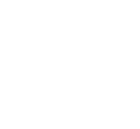 vento-icon